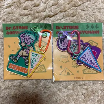 Dr.STONE 센쿠 겐 탈부착 가능 아크릴 키링 세트