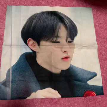 SEVENTEEN 호시 정사각형 슬로건