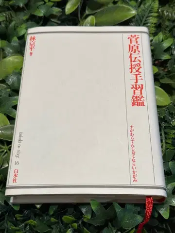 스가와라 덴주 테나라이칸 린 쿄헤이 화이트 스이샤 가부키