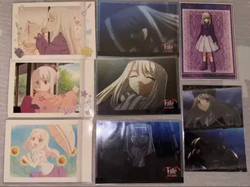 이리야 파샤코레 에미야 씨네 오늘의 밥 코레카