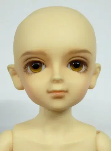 보크스 MSD 남아 마나부 통학ver. HTD 교토 4 한정판