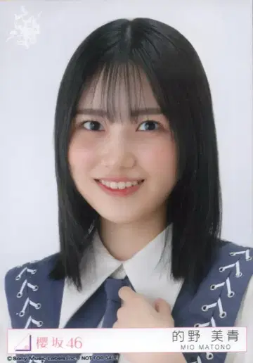 사쿠라자카46 자업자득 마토노 미오 예약 특전 브로마이드 도쿄돔