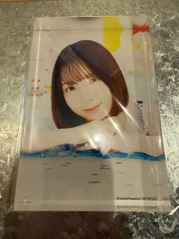 히나타자카46 와타나베 리나 히나코레 A상 메모리얼 블록