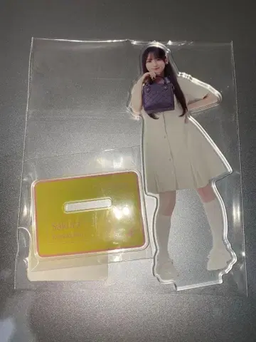 카와사키 사쿠라 노기BOX 아크릴 스탠드 NOGI A/W 2025 A상