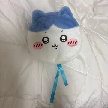 치이카와 파크 하치와레 베레모