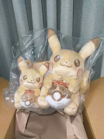 피카츄 30주년 기념 봉제 인형 2체 세트