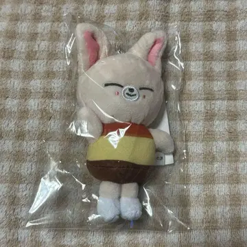 skzoo 스키즈 아이엔 폭시니 백참 푸딩