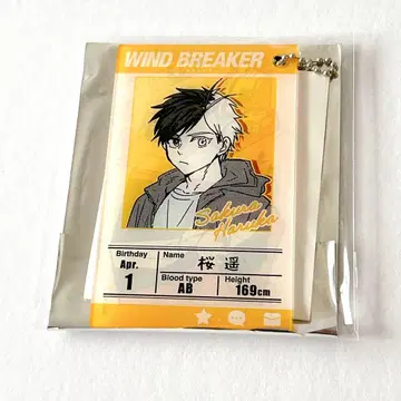 사쿠라 하루카 WIND BREAKER 프로필 카드 원작 그림