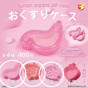 약 케이스 가챠 위 장 뇌 3종