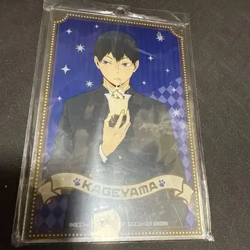 하이큐!! 난자타운 A상 아크릴 보드 카게야마 토비오