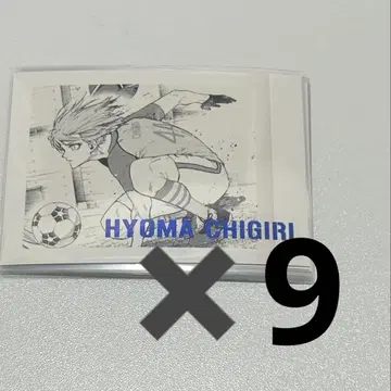 치기리 효마 9장 세트 파샤코레 블루 록 전