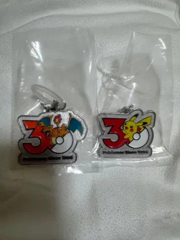 포켓몬 30주년 메탈 참 마스코트 피카츄 리자몽