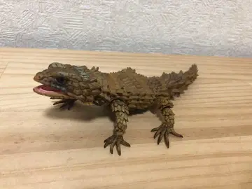 반다이 생물대도감 아르마딜로 도마뱀 가챠