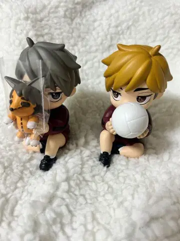 하이큐!! 숨바꼭질 Hide&Seek 미야 오사무 미야 아츠무