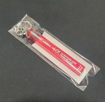 TM NETWORK 호텔 키링 4/8 요코하마 아레나 5