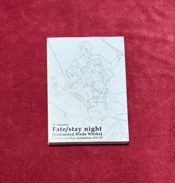 페이트/스테이 나이트 원화집