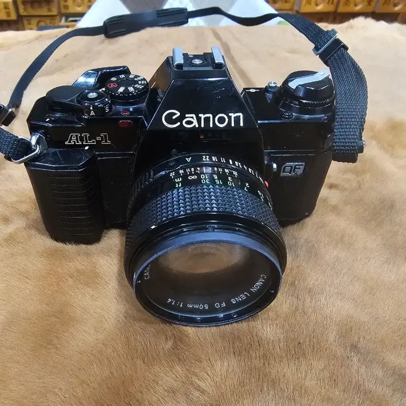 캐논 AL-1 필름 카메라 FD 50mm 1:1.4