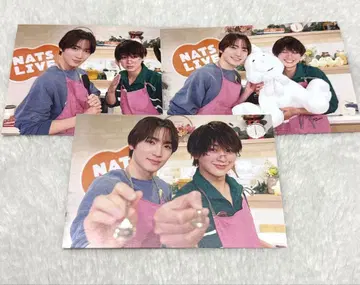 후지모토 코다이 사쿠라기 마사야 NATSLIVE 너트 라이브 레시피 카드