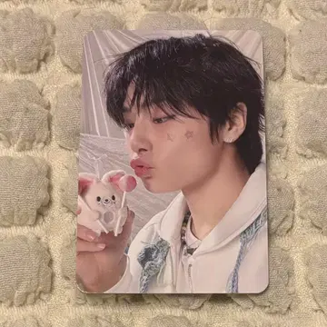 straykids 스키즈 트레이딩 카드 4/5 팬미팅 입장 혜택 아이엔