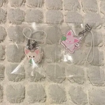 straykids 팬미팅 입장 특전 키링 폭시니 아이엔 2개