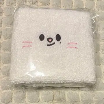 straykids 6th 팬미팅 특전 타월 지니레트