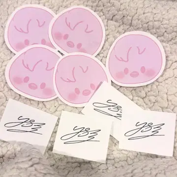 stray kids 스키즈 팬미팅 낙하물 SKZOO 필릭스 포가리