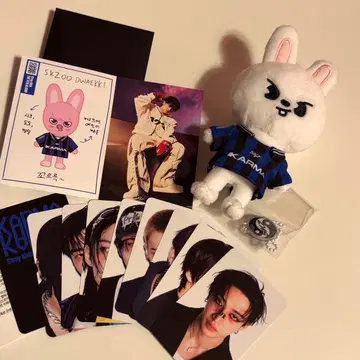 StrayKids KARMA 리빗