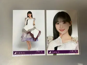 3594. 노기자카46 카와사키 사쿠라 히키 요리 브로마이드