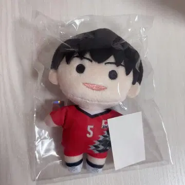 배구 일본 대표 오츠카 선수 봉제 인형 키링