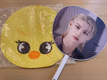 Stray kids 필릭스 부채 커버 부채