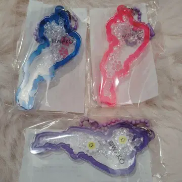 비와코 키 홀더 비와호 가챠 아크릴 키 홀더