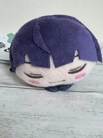 괴수 8호 낮잠 마스코트 vol.2 호시나 소우시로