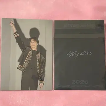 straykids 스키즈 시즌 그리팅 HMV 특전 엽서 아이엔