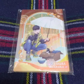 WIND BREAKER 윈브레 사쿠라 하루카 맑은 날씨 중국 아크릴 블록