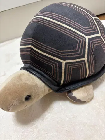 아토아 복권 2등 봉제 인형 알다브라 육지거북 거북