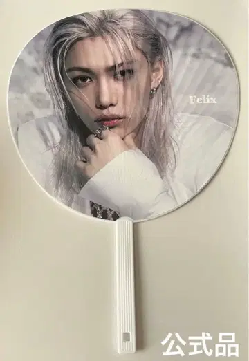 Stray Kids 스키즈 필릭스 부채 GIANT