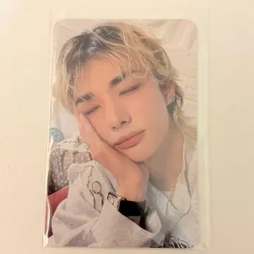 stray kids 한국 팬미팅 콜렉트 케이스 트레이딩 카드 현진