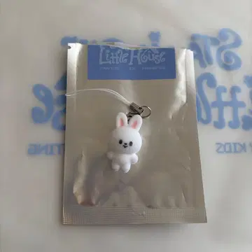 Stray Kids 스키즈 팬미팅 미니 참 리빗 리노