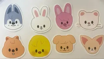 straykids 스키즈 팬미팅 콘페티 종이꽃 가루 낙하물 컴프 2