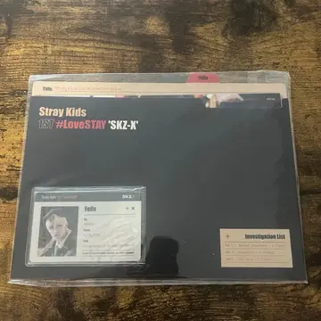 Stray Kids SKZ-X ID 카드 세트 필릭스