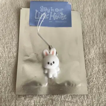 스트레이키즈 스키즈 팬미팅 미니 참 리빗