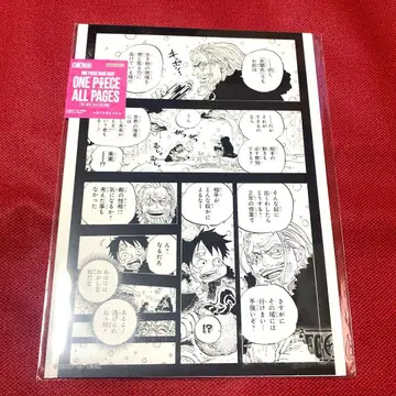 ONE PIECE BASE SHOP ALL PAGES 레이리