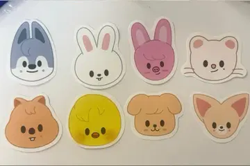 straykids 스키즈 팬미팅 낙하물 콘페티 SKZOO 컴프 4