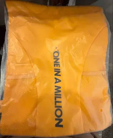 TWICE THIS IS FOR 국립경기장 냅색 지효