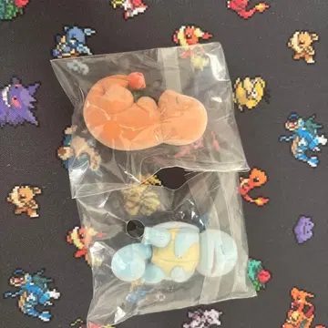 파이리 꼬부기(제니카메) 와카쿠사 본섬