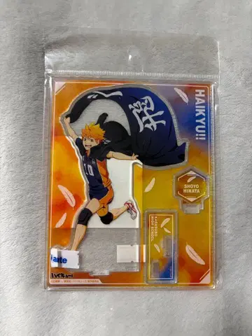 하이큐 아크릴 스탠드 히나타 쇼요