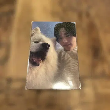 Last Bell TWS 신유 트레이딩 카드 weverse 혜택 사모예드