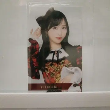 AKB48 오구리 유이 봄 콘서트 2026 하프 사이즈 랜덤 브로마이드