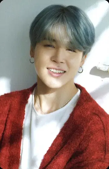 BTS D'/ICON JIMIN 포토카드 101:커스텀 북 1/14