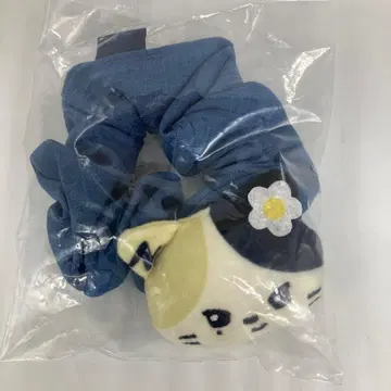 zeroni c상 리키 스크런치